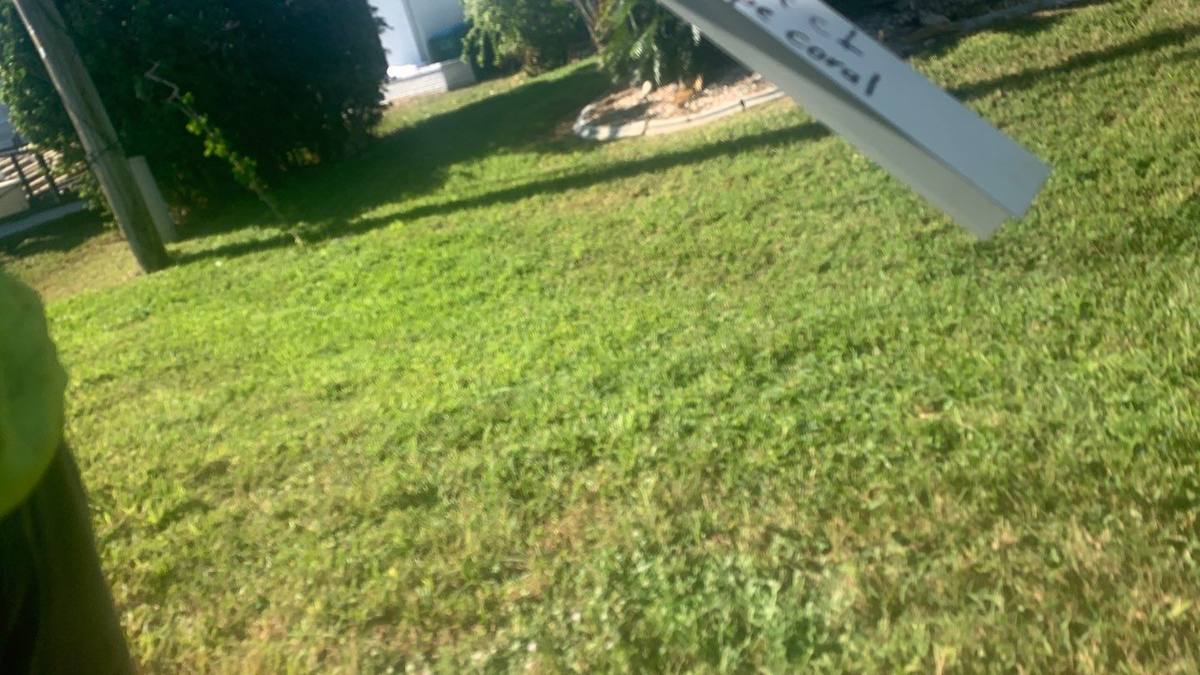 roof replacement in Cape Coral, Florida