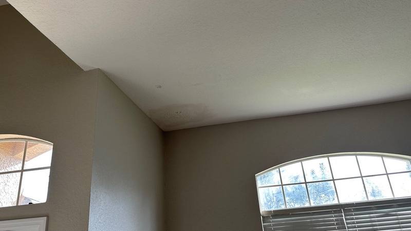 roofing project near Vinetree Dr in Brandon