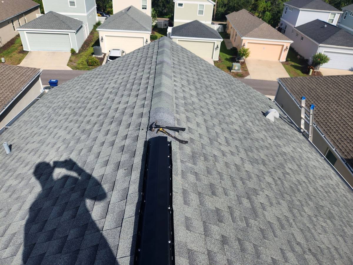 roof replacement in Venice, Florida