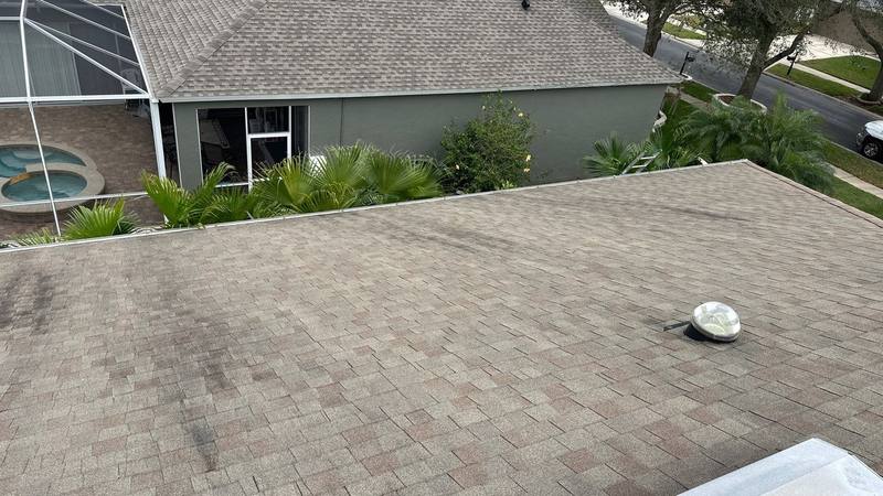 roofing project near Fern Meadow Loop in Lutz