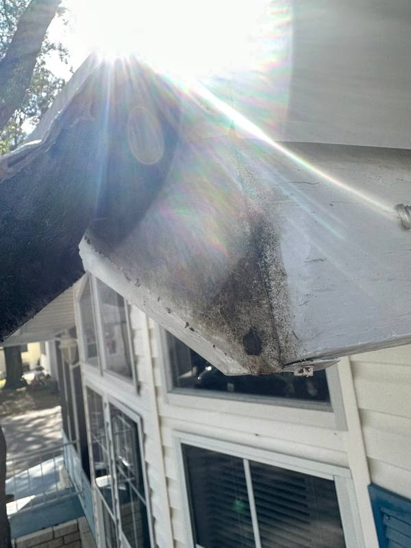 roofing project near Chancey Rd in Zephyrhills