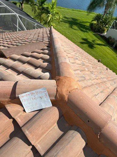roof replacement in Venice, Florida