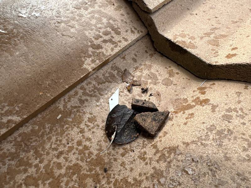 roof replacement in Venice, Florida