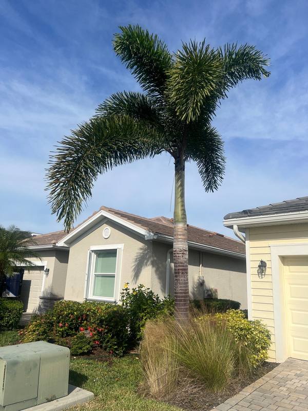 roofing project near Mirada Blvd in Fort Myers
