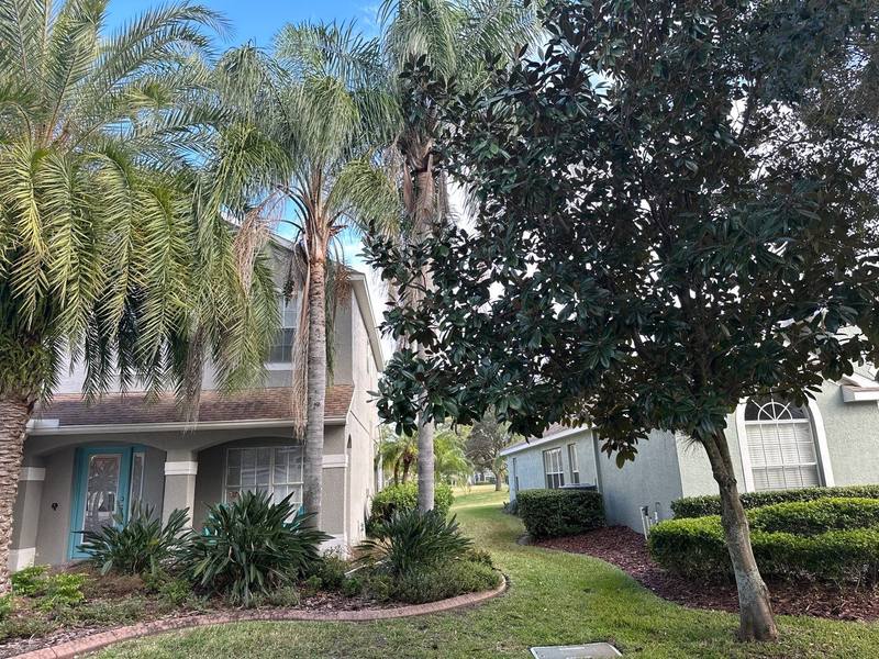 roof replacement in Lutz, Florida