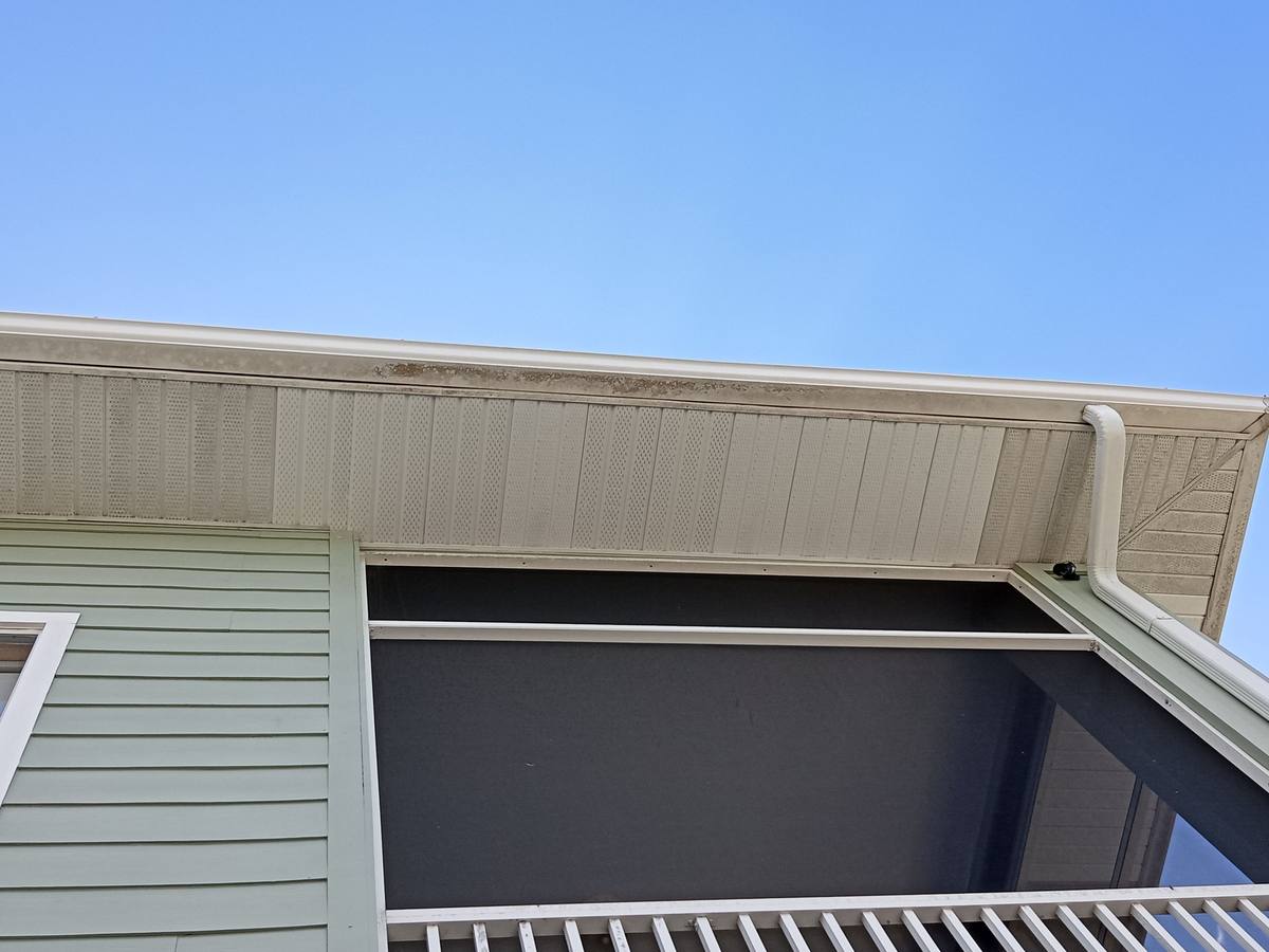 roof replacement in Englewood, Florida