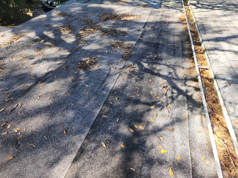 roof replacement in Sarasota, Florida