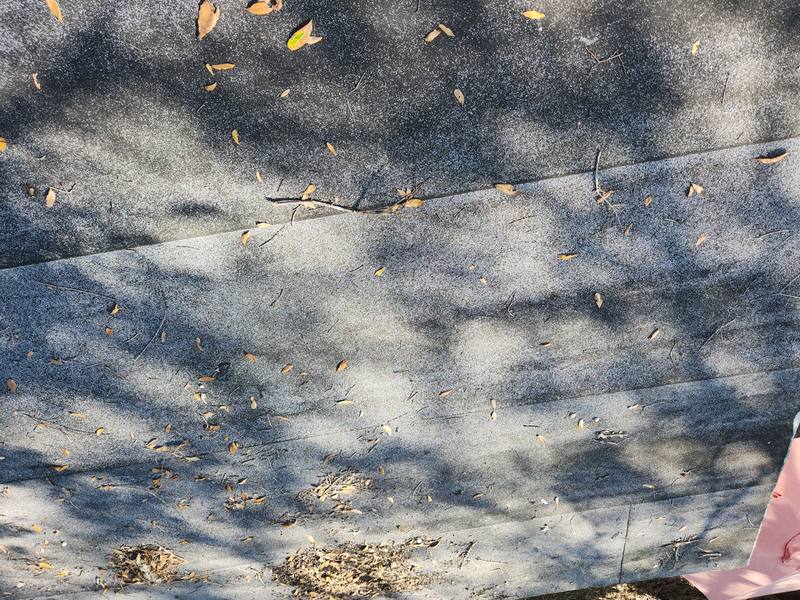 residential roof replacement by Hloska Roofing in Sarasota