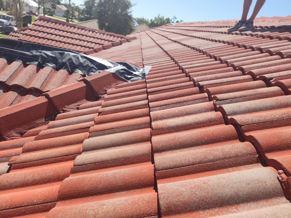 roof replacement in Port Charlotte, Florida