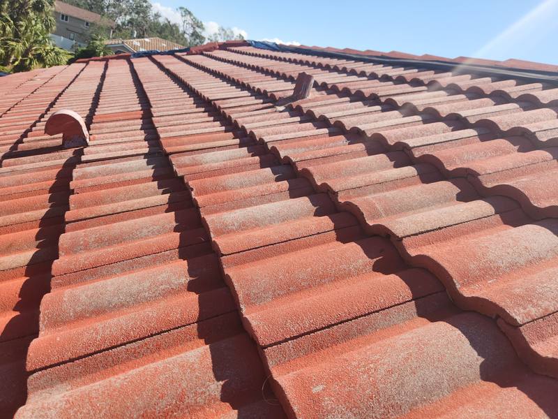 roof replacement in Port Charlotte, Florida