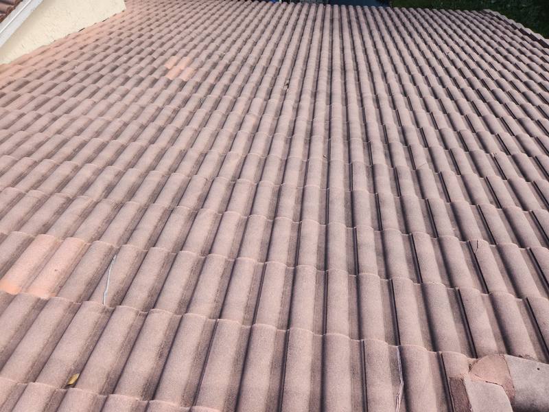 roof replacement in Boca Raton, Florida