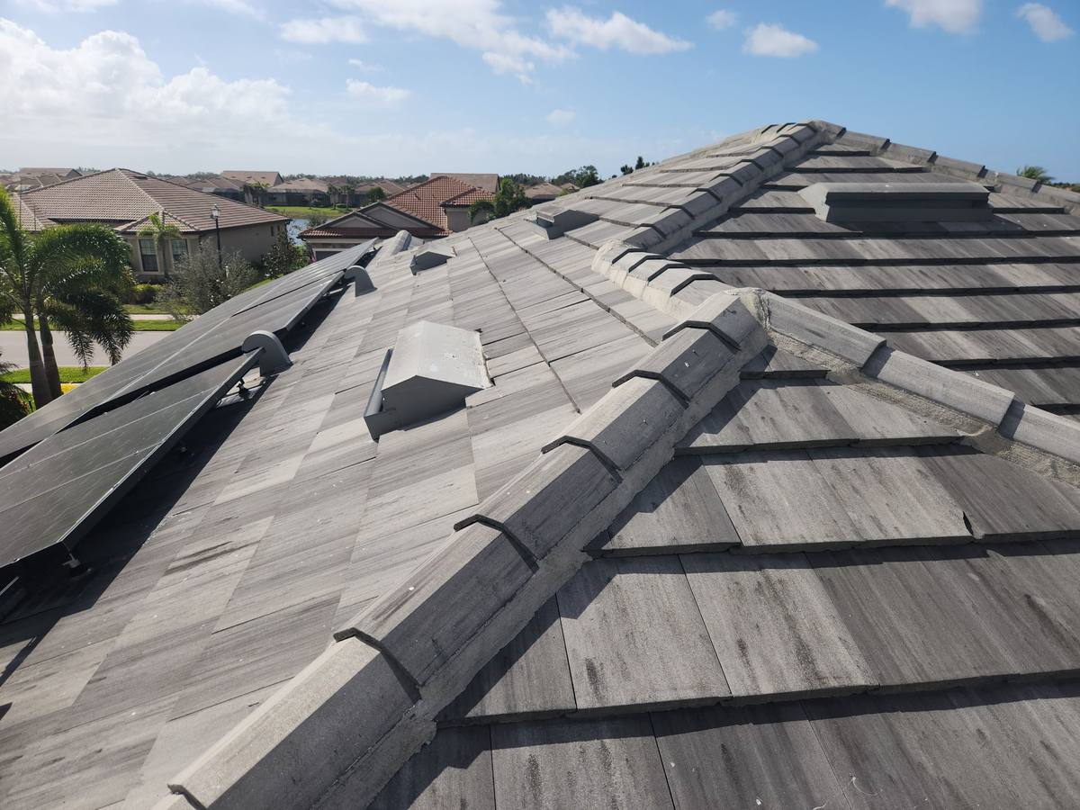 roof replacement in Venice, Florida