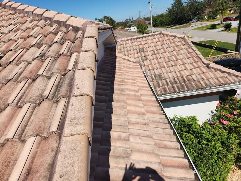 roof replacement in Port Charlotte, Florida