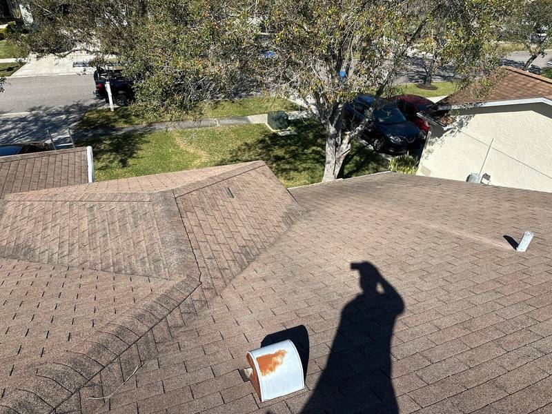 roof replacement in Odessa, Florida
