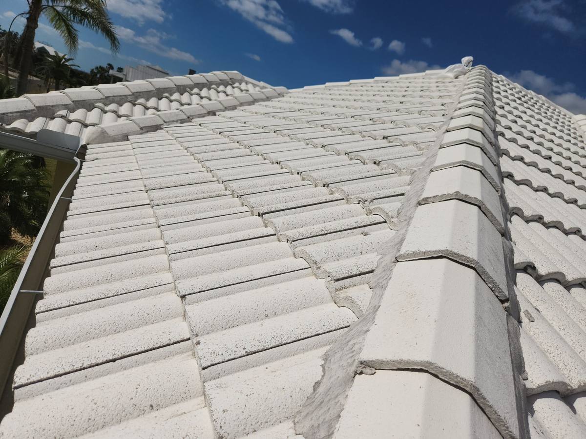 roof replacement in Punta Gorda, Florida