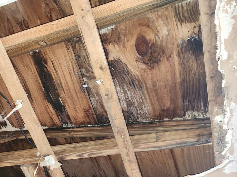 roof replacement in Melbourne, Florida