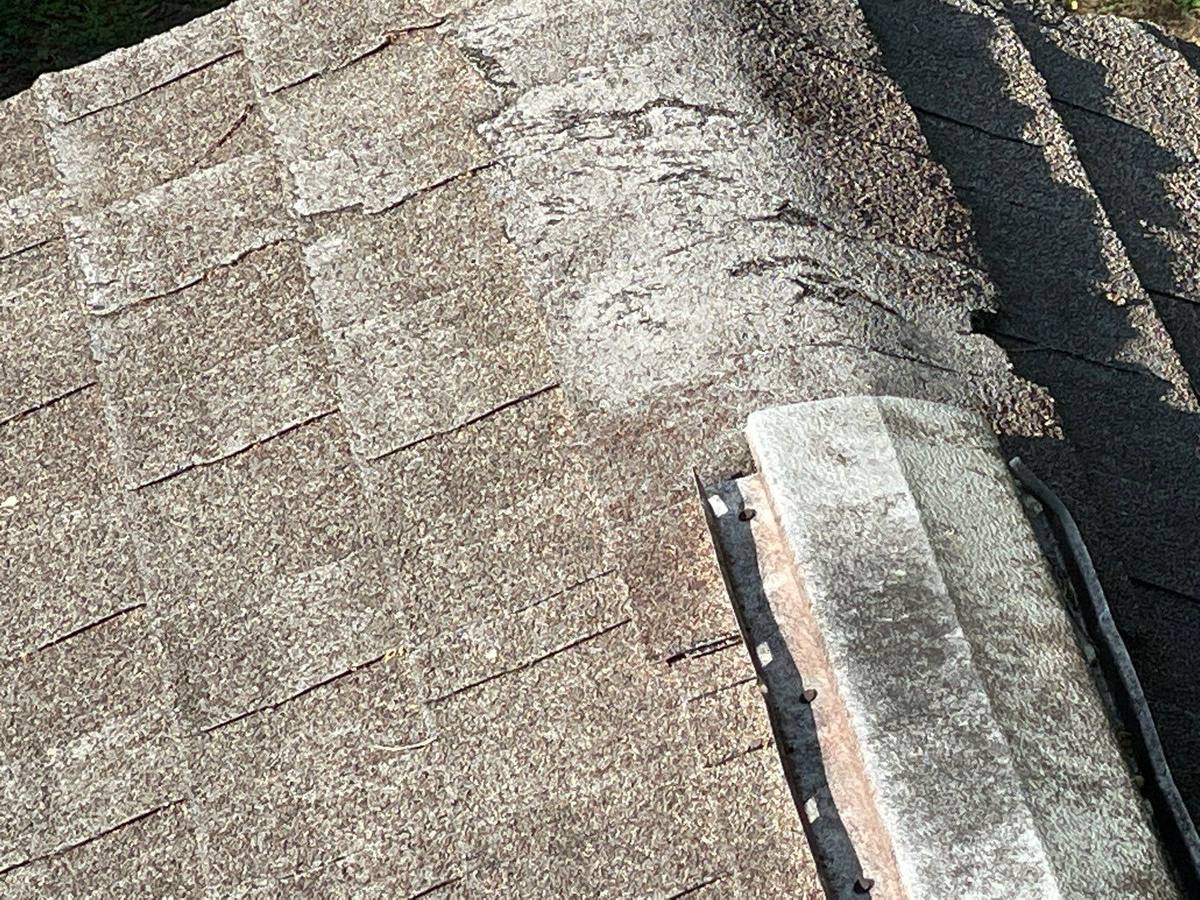 roof replacement in Zephyrhills, Florida