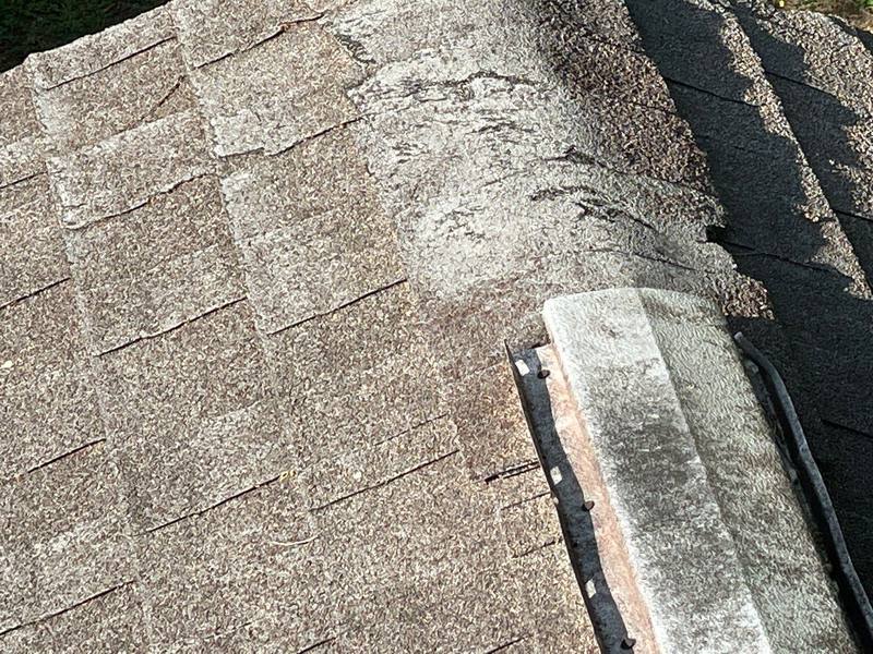 completed roofing project in Zephyrhills FL