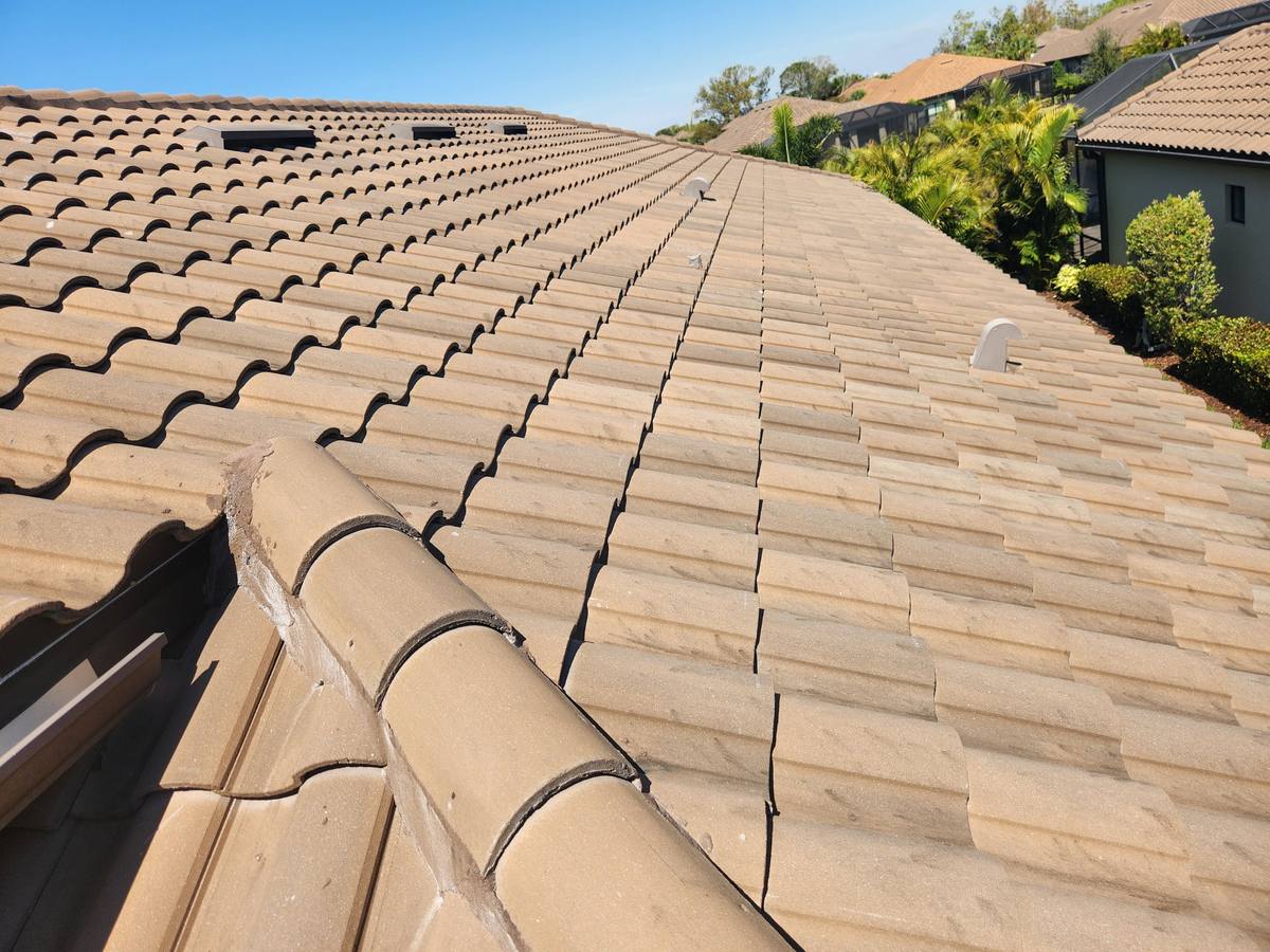 roof replacement in Nokomis, Florida