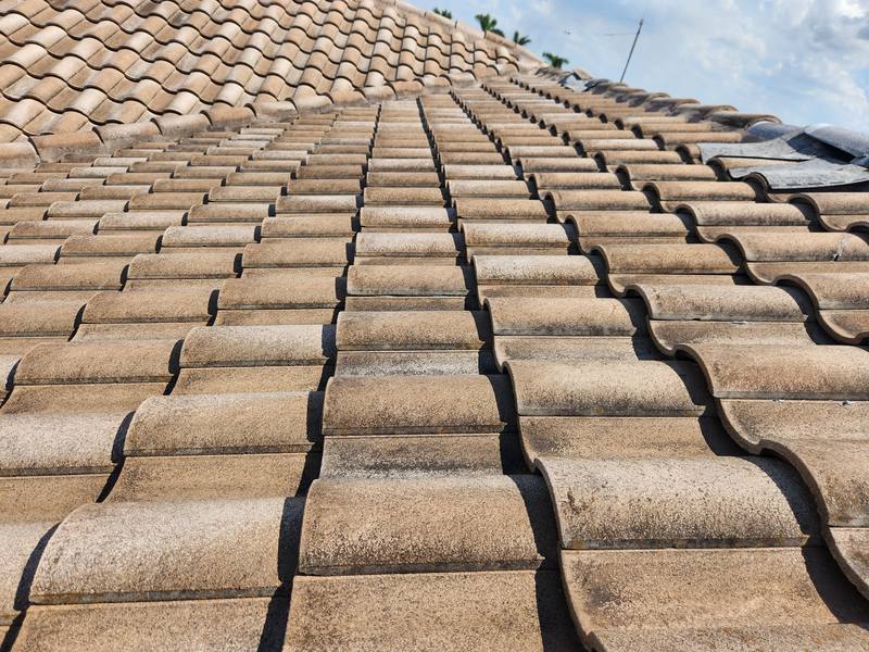 roof replacement in Punta Gorda, Florida