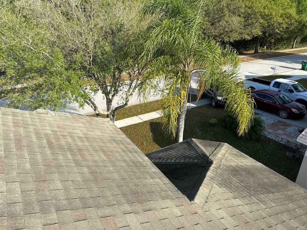 roof replacement in Wesley Chapel, Florida