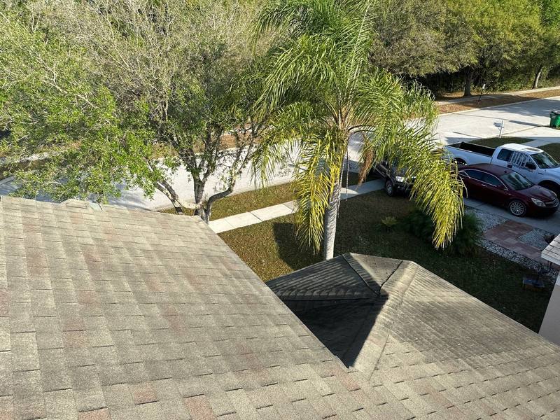 residential roof replacement by Hloska Roofing in Wesley Chapel