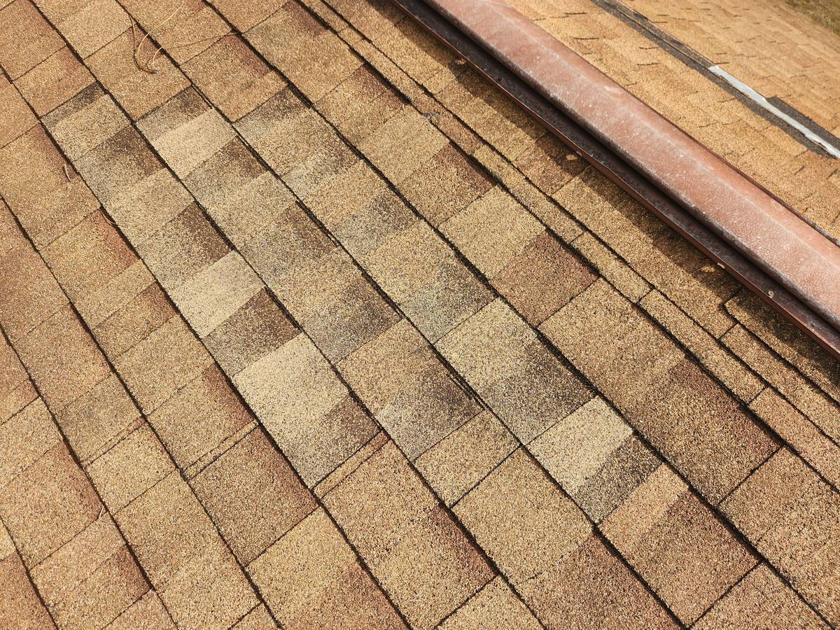 roof replacement in Fort Myers, Florida