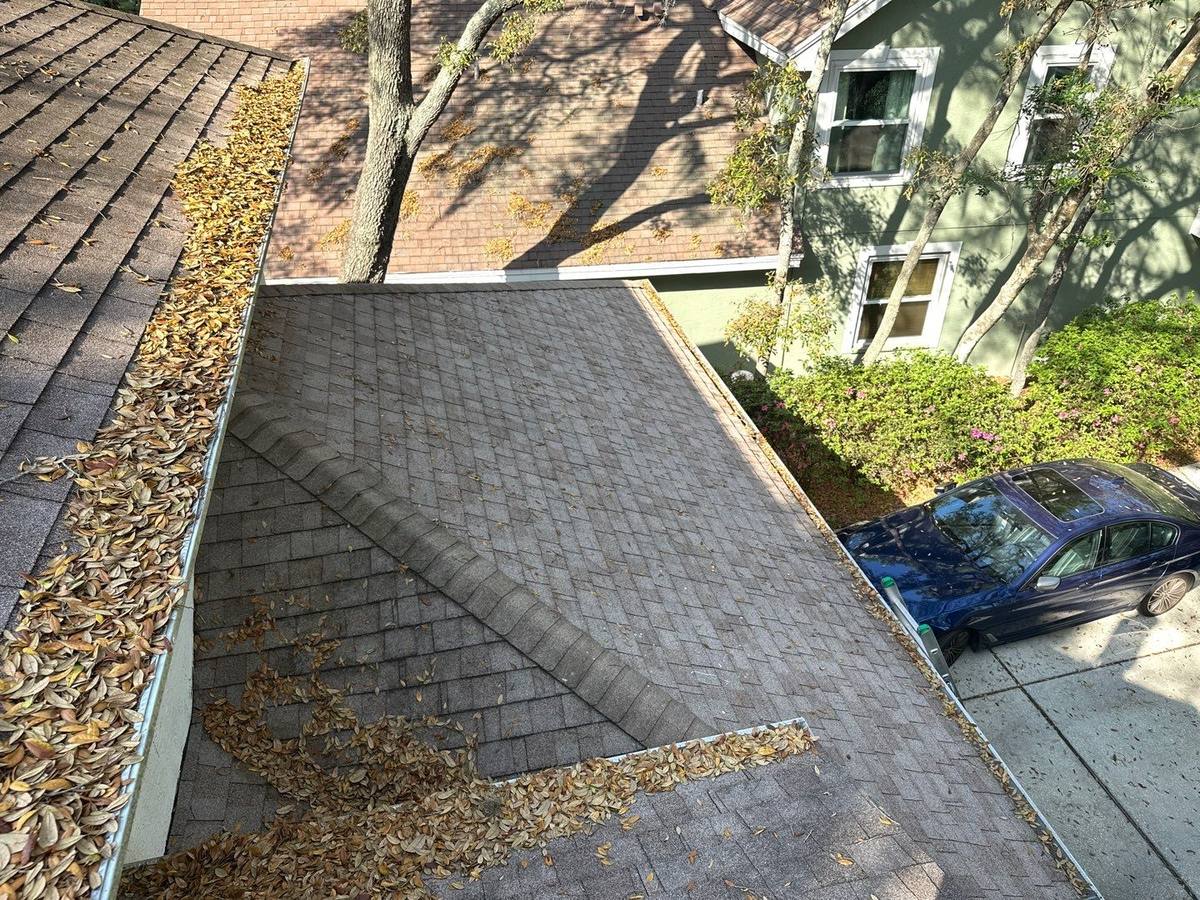 roof replacement in Tampa, Florida