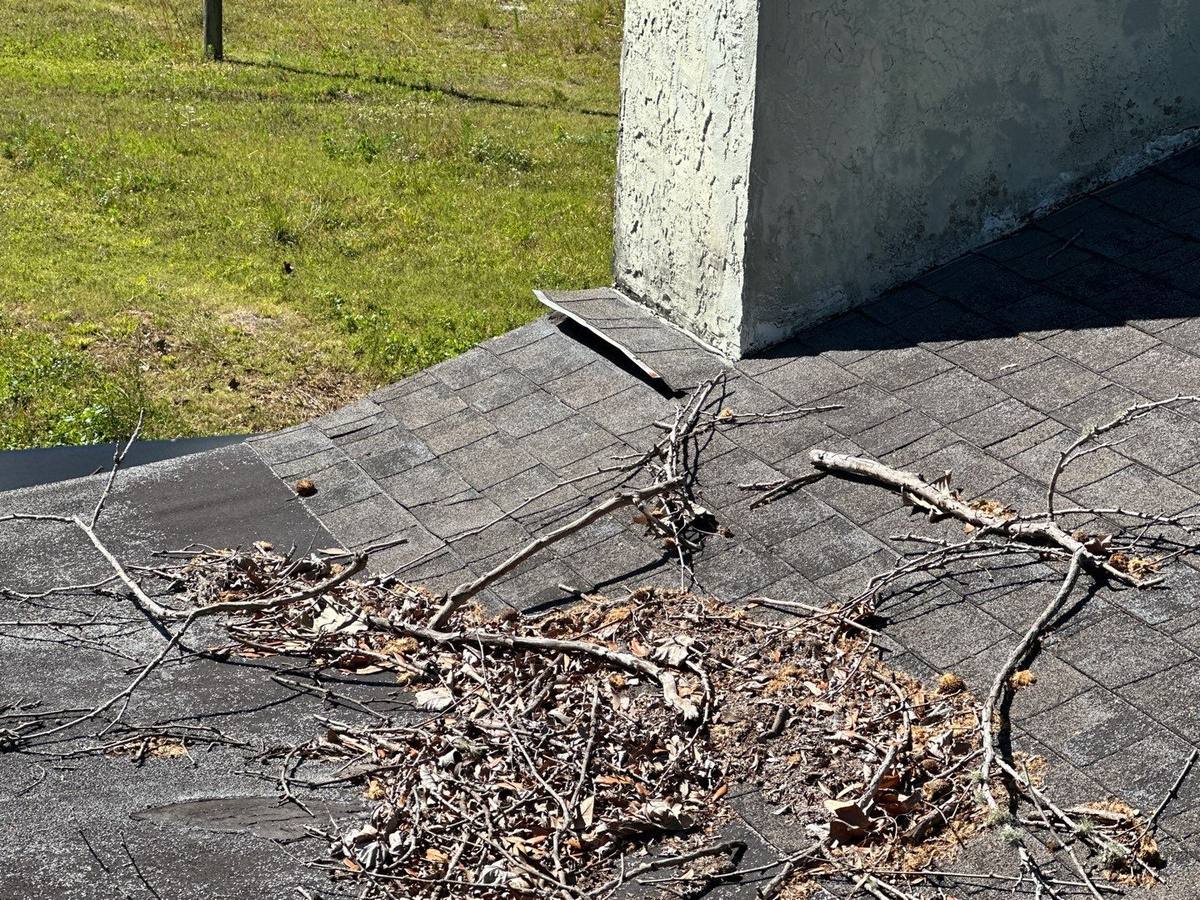 roof replacement in Plant City, Florida