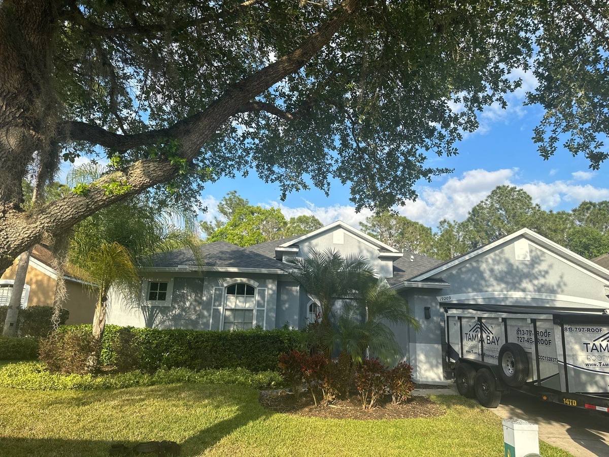 roof replacement in Tampa, Florida