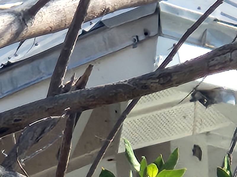 completed roofing project in Sanibel FL