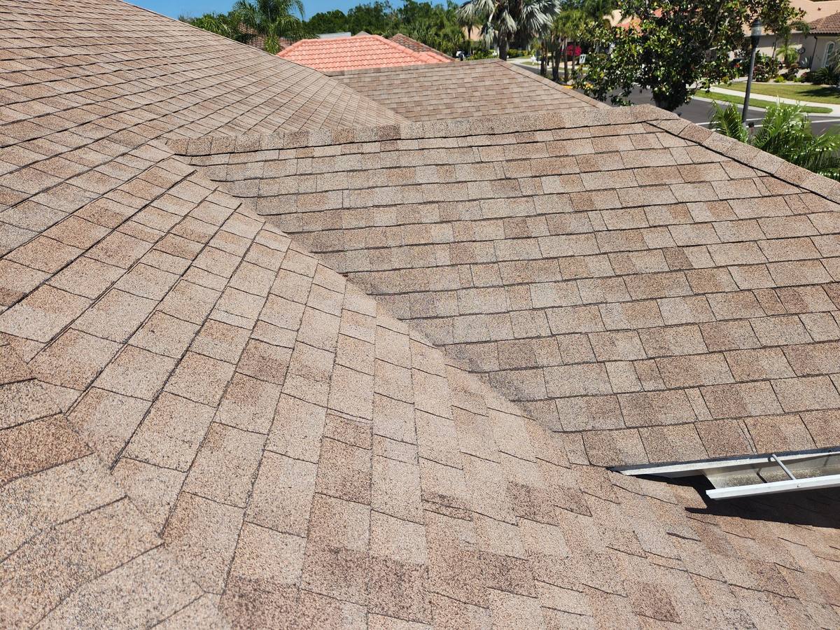 roof replacement in Venice, Florida