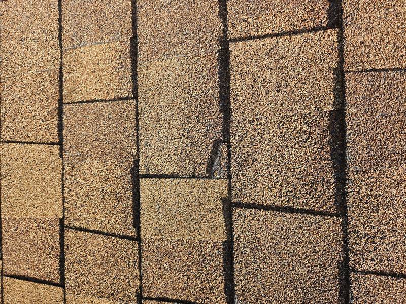 residential roof replacement by Hloska Roofing in Venice