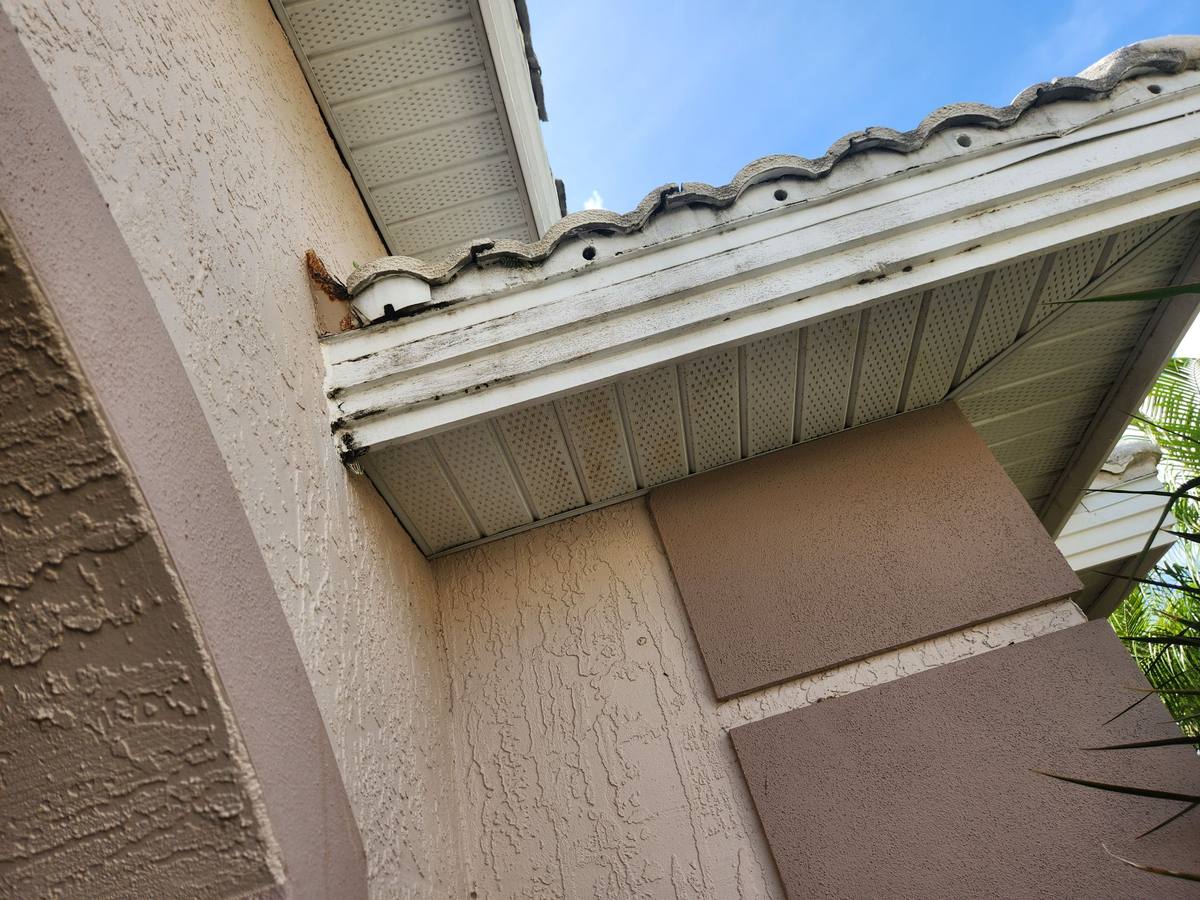 roof replacement in Venice, Florida