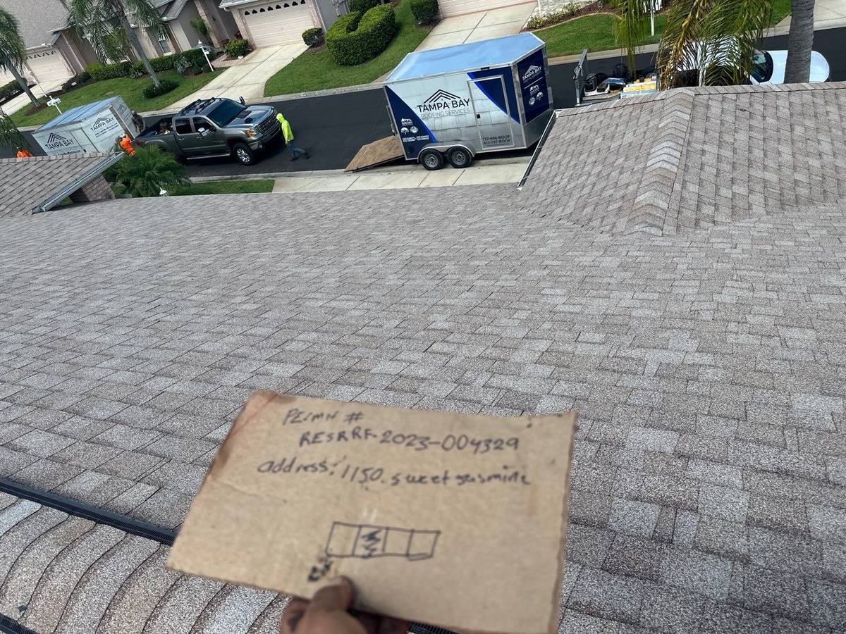 roof replacement in Trinity, Florida