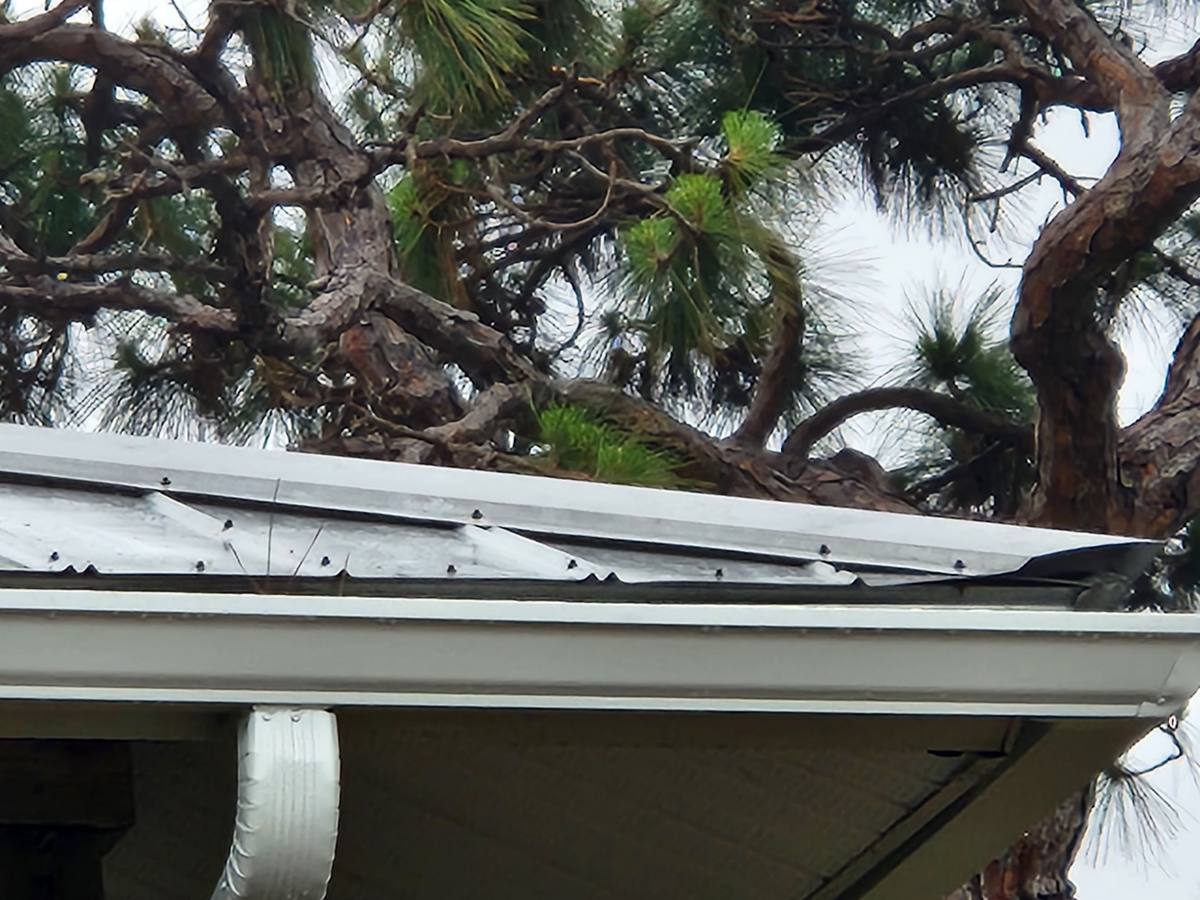roof replacement in Venice, Florida