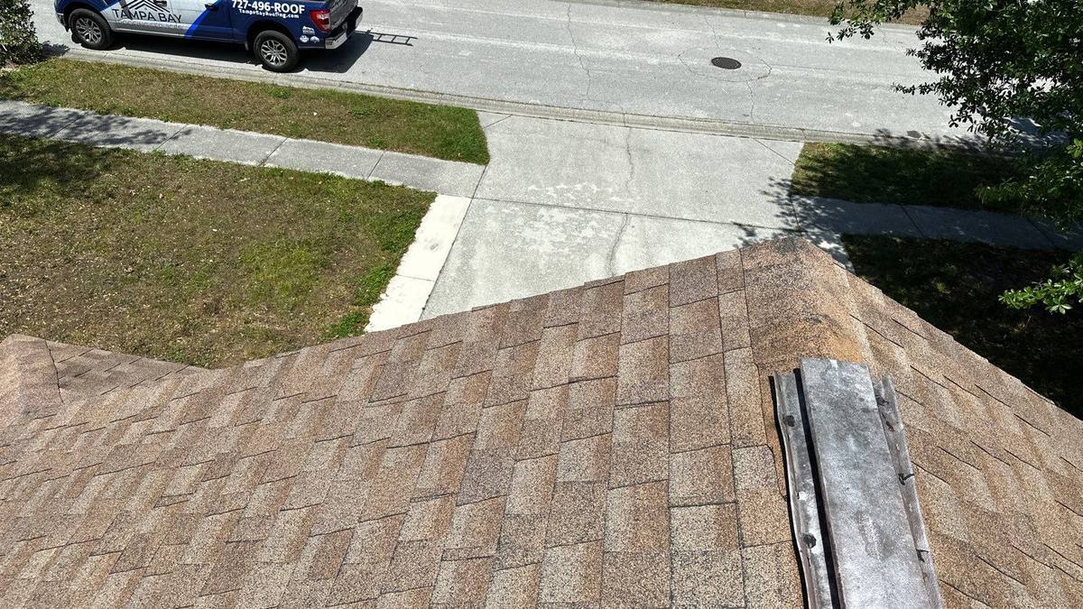 roof replacement in New Port Richey, Florida