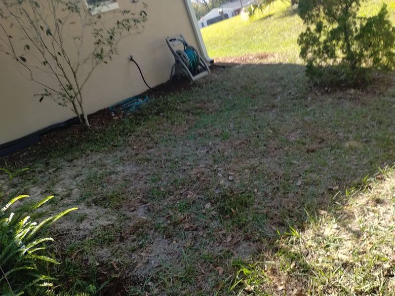 roof replacement in Inverness, Florida