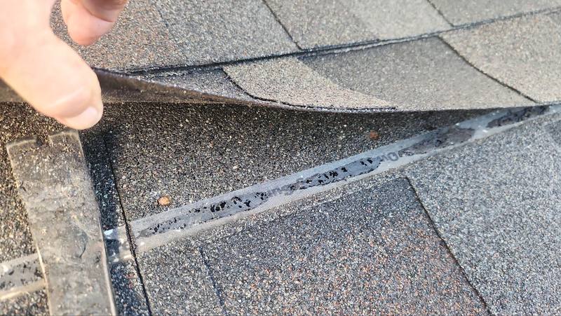 roof replacement in Wesley Chapel, Florida