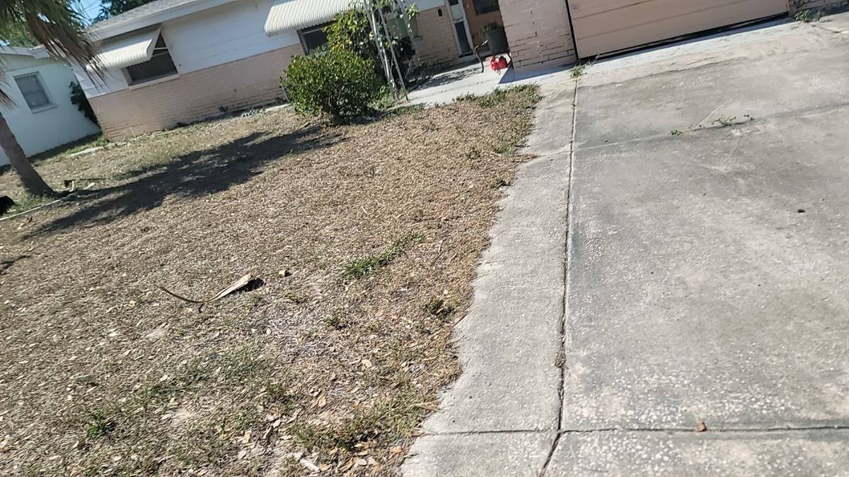 roof replacement in Holiday, Florida
