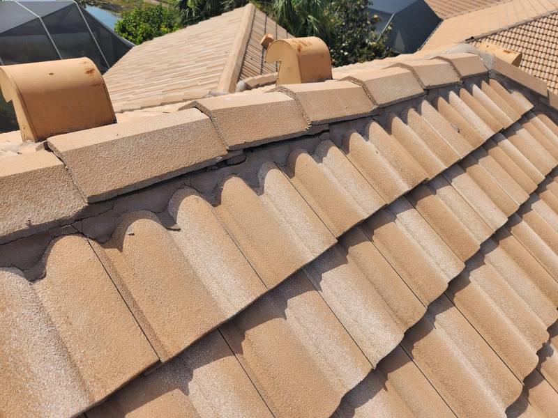 residential roof replacement by Hloska Roofing in Venice