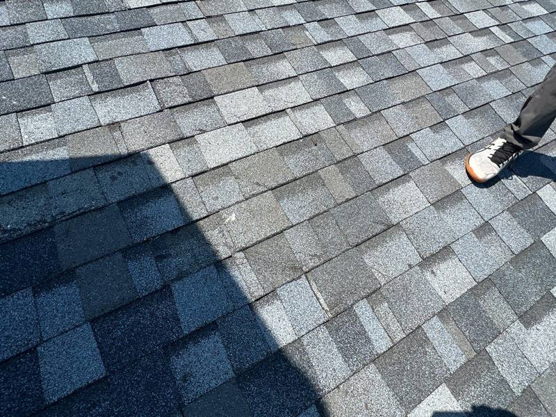 residential roof replacement by Hloska Roofing in Venice