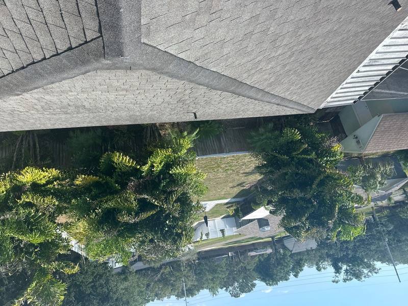 roofing project near Magdalene Woods Dr in Tampa