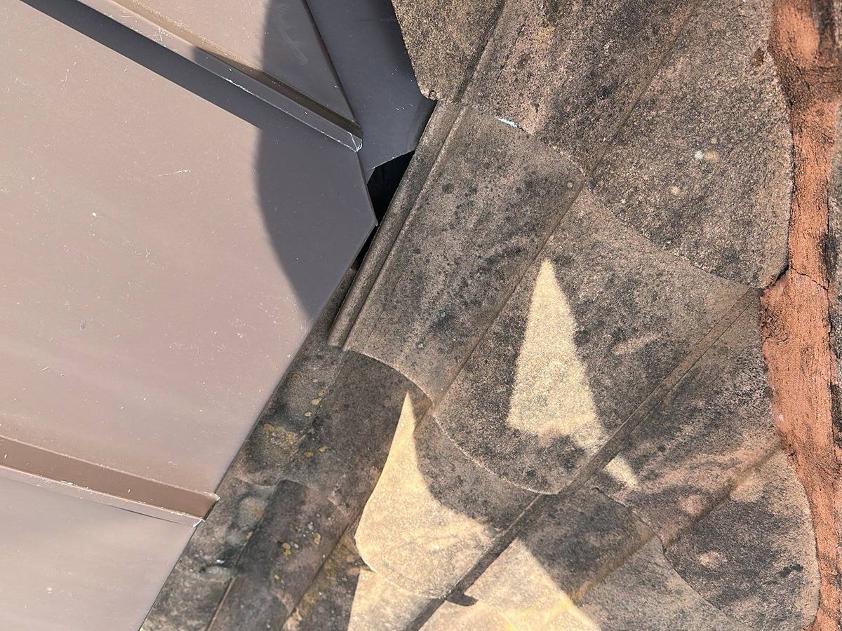 roof replacement in Palm Harbor, Florida