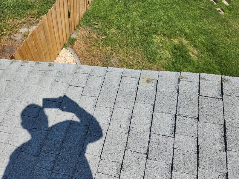 roof replacement in Sarasota, Florida