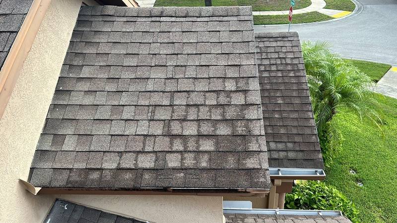 roof replacement in Zephyrhills, Florida