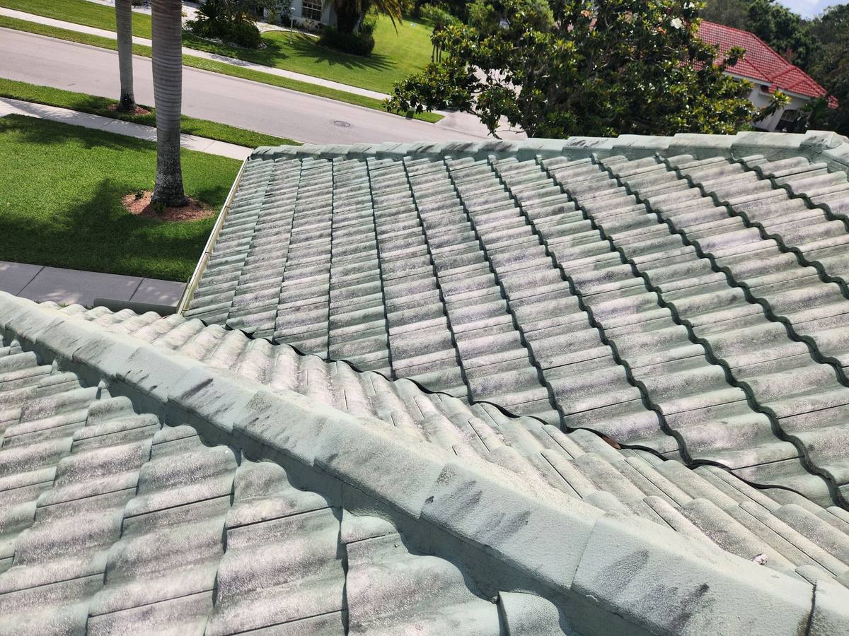 roof replacement in Sarasota, Florida