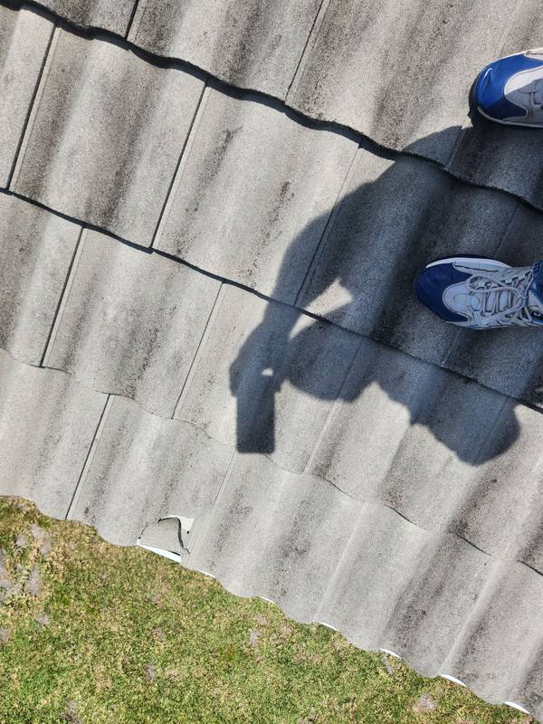 roof replacement in Punta Gorda, Florida