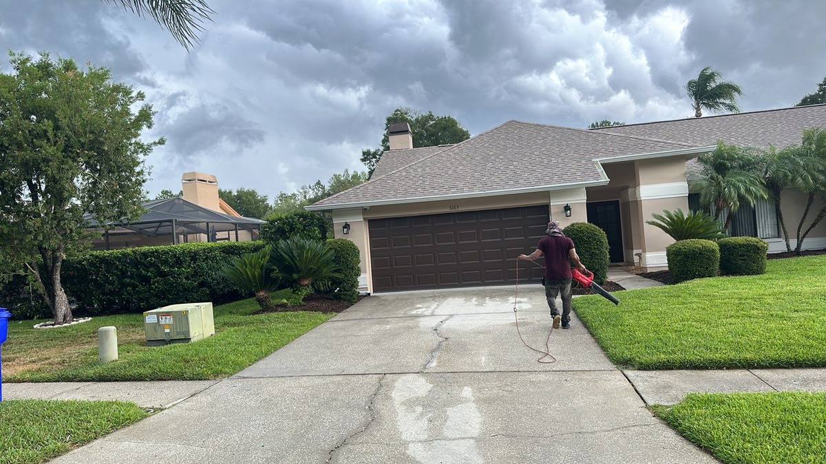 roof replacement in Palm Harbor, Florida