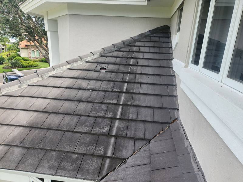 roof replacement in Fort Myers, Florida
